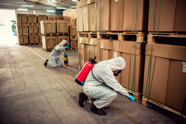 Best Emergency Pest Control  in St Paul, TX