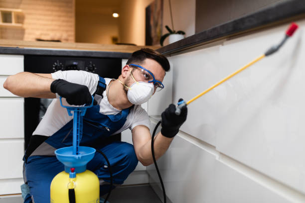 Pest Control for Restaurants in St Paul, TX