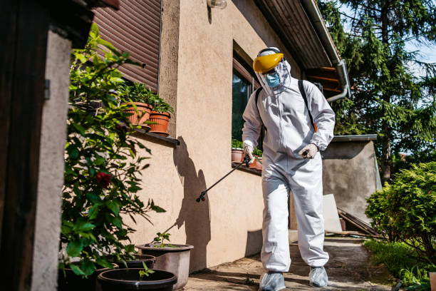 Best Affordable Pest Control Services  in St Paul, TX