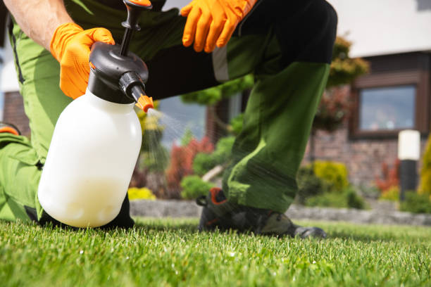 Best Rat Extermination Near Me  in St Paul, TX