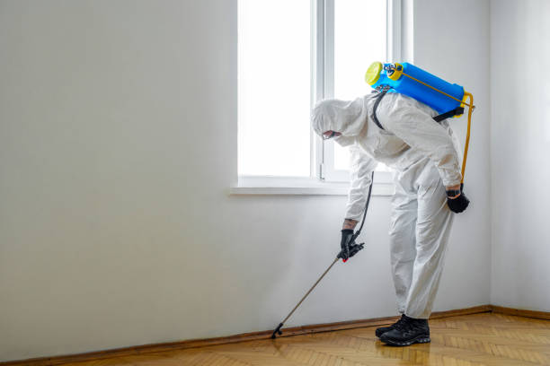 Best Affordable Pest Control Services  in St Paul, TX