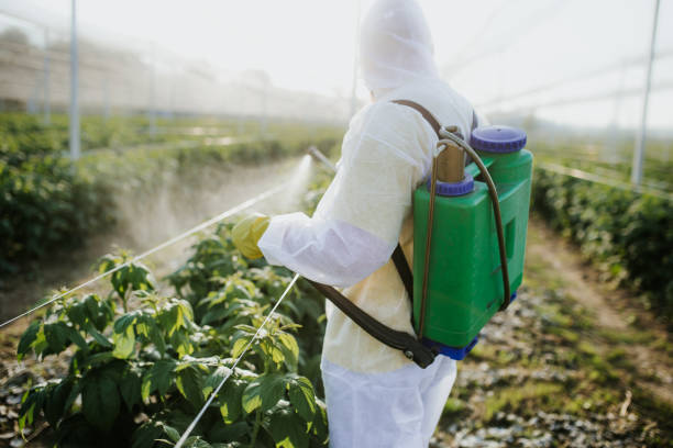 Best Cockroach Control Services  in St Paul, TX